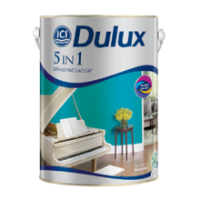 Dulux 5in1